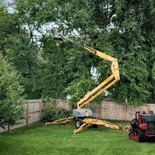 Best Fruit Tree Pruning  in Slaton, TX