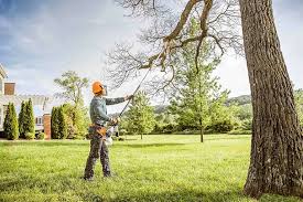 Why Choose Our Tree Removal Services in Slaton, TX?