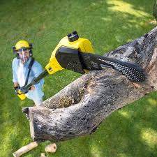 Best Emergency Tree Removal  in Slaton, TX