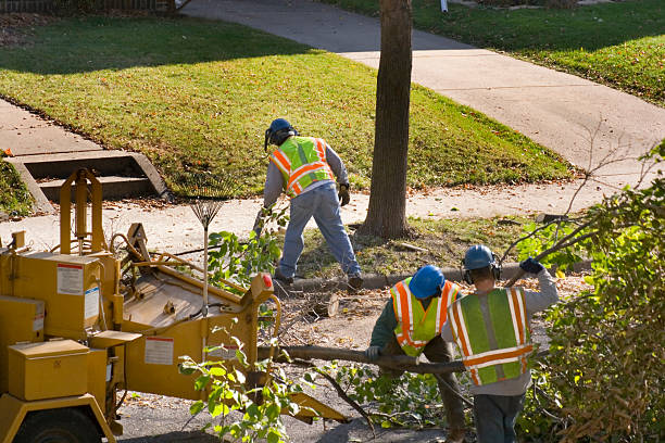 Best Lawn Watering Services  in Slaton, TX